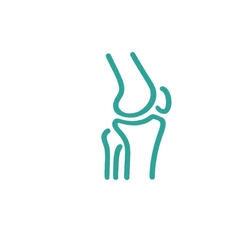 Orthopaedics
